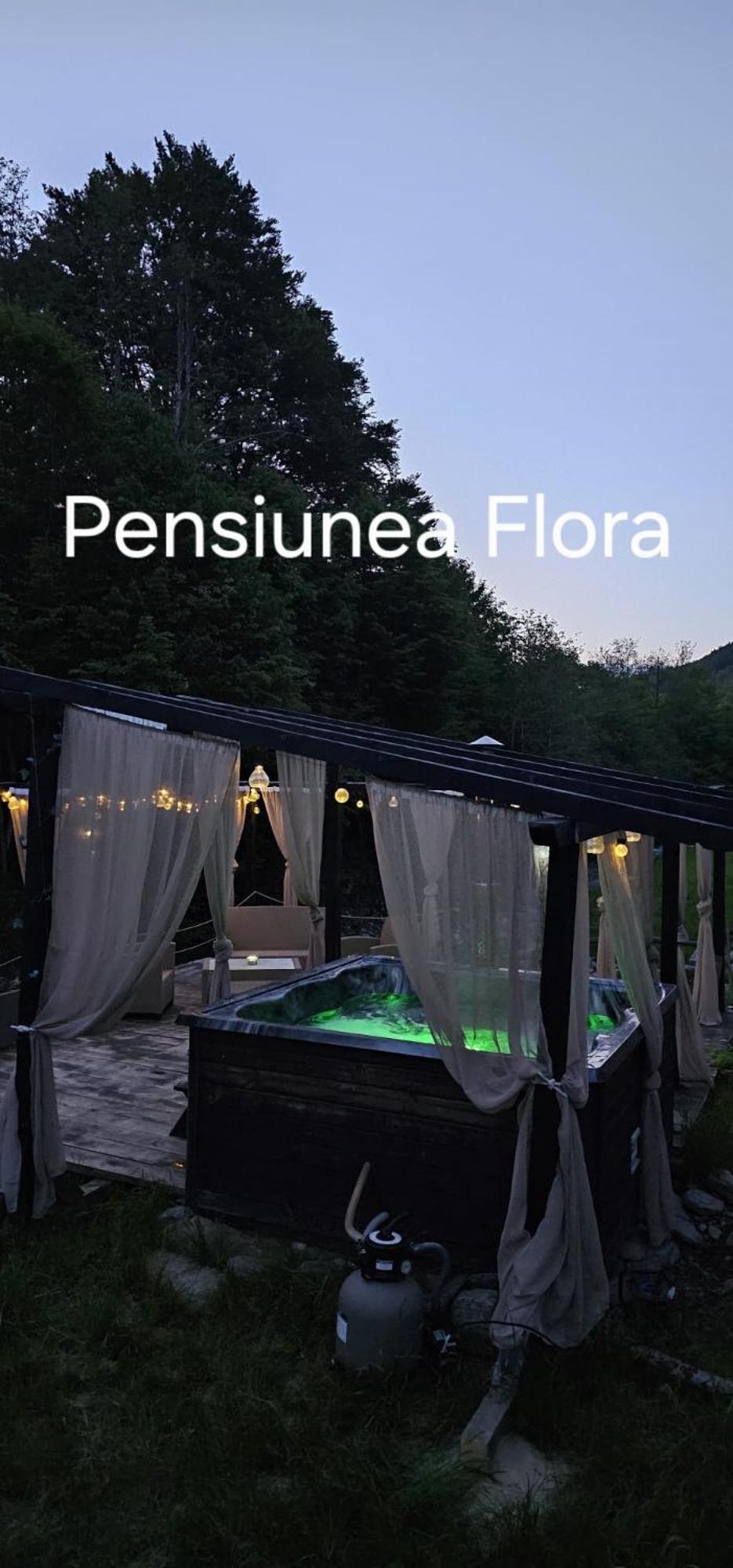 Pensiunea Flora Кирцишоара Екстер'єр фото